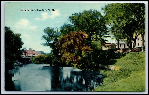Postcard exeter river - postcard, river,